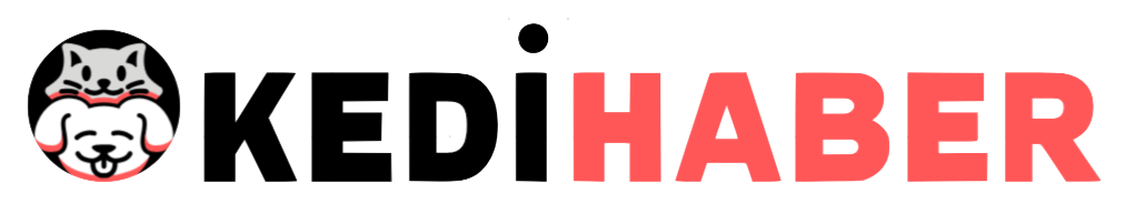 kedi haber logo - YelkenHaber